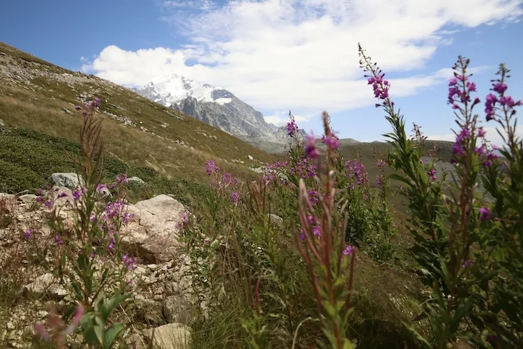 Wunderschöne Aussicht beim Backpacking in Georgien