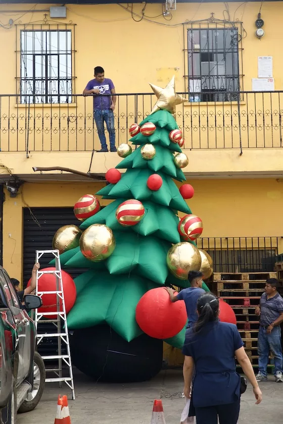 Vor Antiguas Supermarkt wird ein Weihnachtsbaum aufgebaut