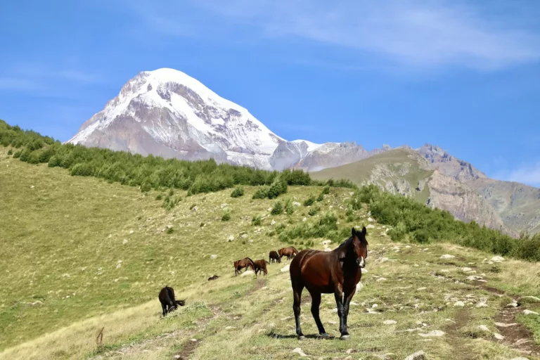 Kazbeg - Highlight einer jeden Backpacker Reise durch Georgien